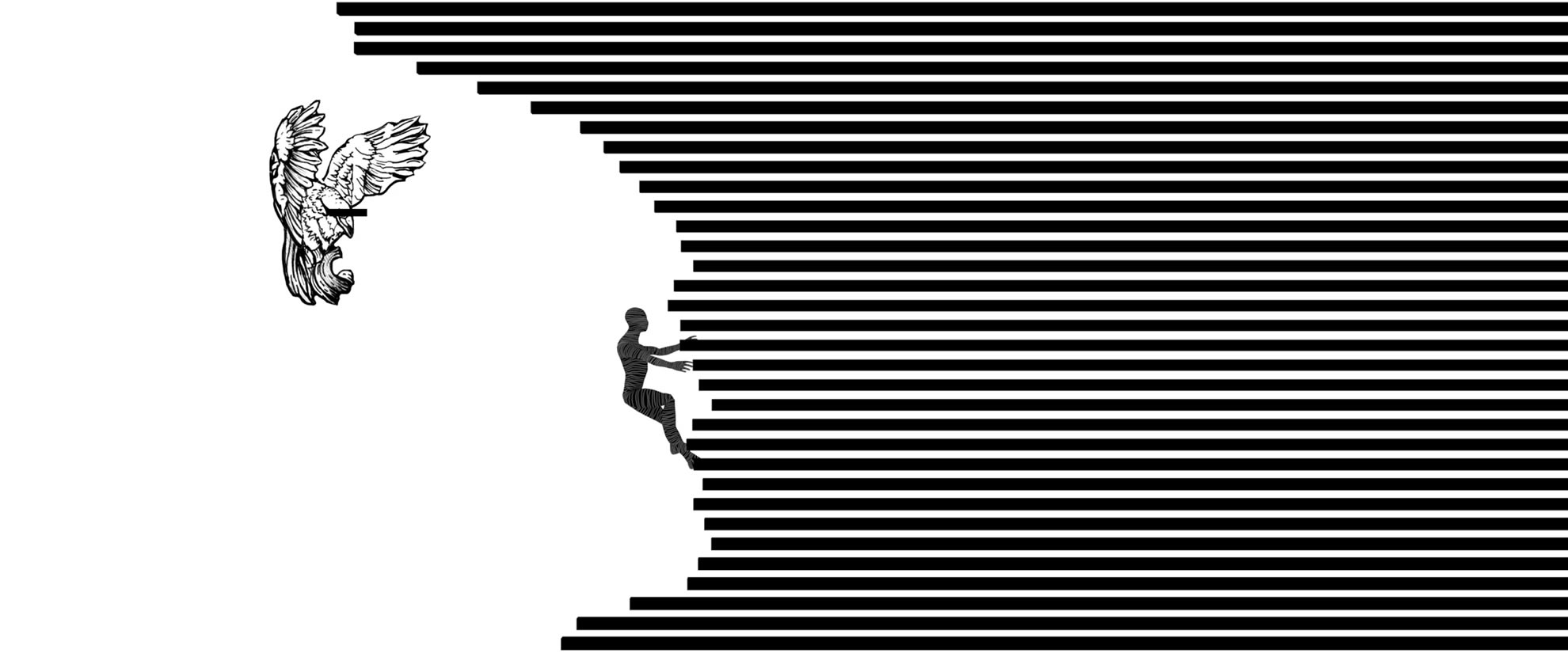 Lines